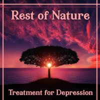 Balanced Body - Less Stress Music Academy