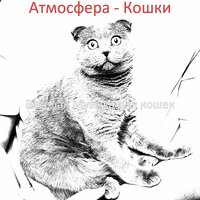 Мечты (Одинокие кошки) - Веселая Музыка для кошек
