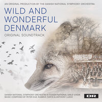 Autumn in the Forest - Danish National Symphony Orchestra