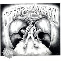 World Wide Web - Pteradactyl