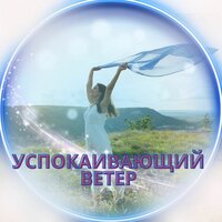 Снегопад в Лесу - Звуки для снятия стресса