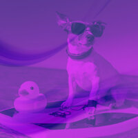 Modish Sleepy Pups - Dog Relaxation Music