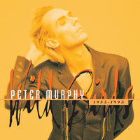 Indigo Eyes - Peter Murphy