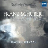 Piano Sonata No. 18 in G Major, D. 894: I. Molto moderato e cantabile - Франц Шуберт & David Korevaar