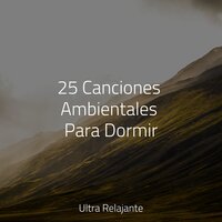 Redención Zen - Meditação Zen & Meditacion & Sonidos de la Naturaleza Relax