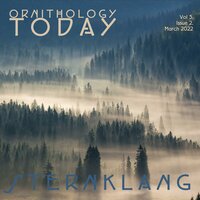 Drøbach - Sternklang