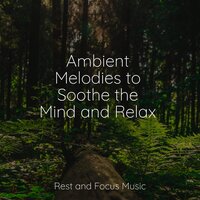 Fogs of Sweetness - Study Concentration & Guided Meditation Music Zone & Hipnose Natureza Sons Coleção
