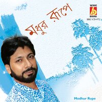Mone Ki Dwidha - Manomay Bhattacharya