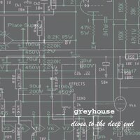 Pansy - Greyhouse