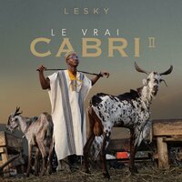 Ca Va Teur - Lesky