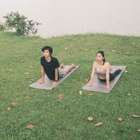 Asana's Auroral Acoustics - Yoga Flow Playlist & Soft Panda & D Chaos