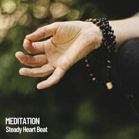 Hypnosis Meditation - Binaural Beats & Spa Music & Binaural Beats Isochronic Tones Lab
