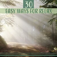 Perfect Moment - Calm Music Masters Relaxation