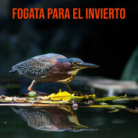 Flujo de Oficina - Zen Universal