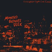Decomposition of Your Child - Mummified Elephant's Dick