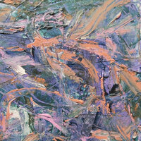 Split Frew - JUTA