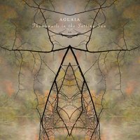 Heart Disctrict - Aglaia