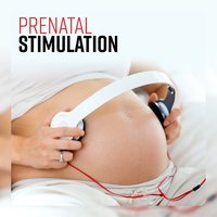 Enjoy the Pregnancy - Calm Pregnancy Music Academy