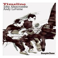 Turn out the Stars - John Abercrombie & Andy Laverne