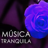 Musica para Clases de Yoga - Musica Tranquila Maestro