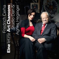 Eine letzte Art Chansons: Diagnose - Studio Dan & Agnes Heginger