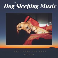 Snoring Dogs - Dog Sleeping Music