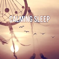 Natural Calm (Calming Rain Sounds) - Calm Sleep Through the Night
