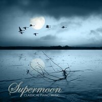 Relaxamento e Sensualidade (Sensuality) - Moonlight Dreaming
