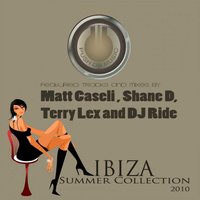 Voice from Down - Matt Caseli