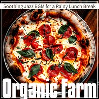 Pitter-Patter Lunchtime Retreat - Organic Farm