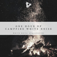 Crackling Fire - White Noise Atmospheres & White Noise Nature Sounds Baby Sleep
