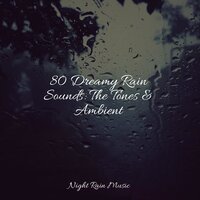Soothing Small Ocean Waves - Zen Meditate & Sounds of Nature White Noise Sound Effects & Chakra Meditation Universe