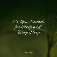 Rainflows - Nature & Sounds Backgrounds & Spa Zen & Binaural Beats Brain Waves Isochronic Tones Brain Wave Entertainment
