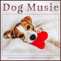 Soothing Piano Music for Dogs - Dog Music & Music for Dog's Ears & Sleeping Music For Dogs