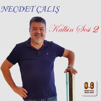 Sana Bir Kul Gibi Taptım - Necdet Çalış