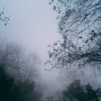 Mejora Personal - Lluvia PQ & Natureza Musica Bem-Estar Academia & Unidad de música zen relajante
