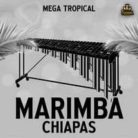Chusa - Marimba Chiapas