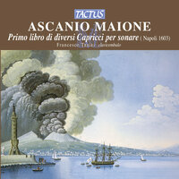Il primo libro di diversi capricci per sonare: Ricercar quarto - Francesco Tasini