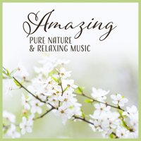 Believe in Me - Calm Nature Oasis