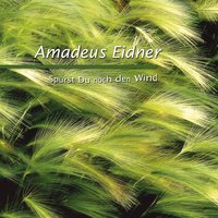 Und wieder vergibst du die Schuld - Amadeus Eidner