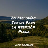 Ballet De Sonido - Academia de Meditação Buddha & Meditación Maestro & Sonidos De Truenos y Lluvia