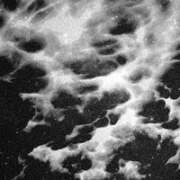 The Harvest - Shlømo & Stephen Brown