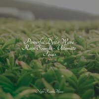 Static Rains - White Noise Babies & Rainfall For Sleep & Nature Sounds for Relaxation and Sleep