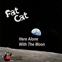 When You Can - Fat Cat