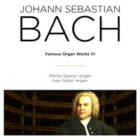 Canzona in D Minor, BWV 588 - Ivan Sokol & Johann Sebastian Bach