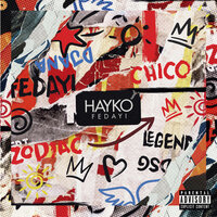 DSG - Hayko