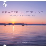 Driftwood On The Shore - Tom Ameen