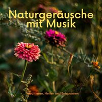 Hier kommt Erleichterung - Yoga Musik Dreamer