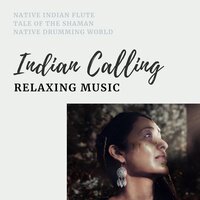 Rebirth, Canyon Sound - Native Drumming World & Native Indian Flute & Tale of the Shaman