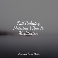 Quiet Places - The Relaxation Principle & Sleep Sounds Of Nature & Sound Sleeping